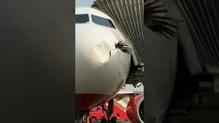 Bird Crashed into Airplane 😱 Air India Aircraft Bird Strike Mid Air Landed Safely
