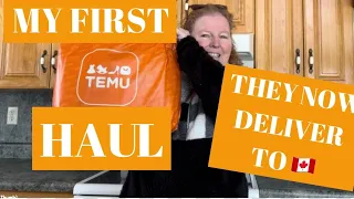 My First TEMU Haul They Deliver to Canada 🇨🇦 - 241