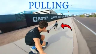 HOW TO TEACH YOUR DOG TO PULL YOU ON A LONGBOARD!!