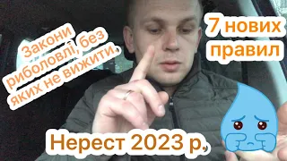 Нерестова заборона 2023. Чи можна ловити рибу в нерест. Закон про нерест.