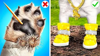 Perro Rico VS Perro Pobre || Momentos Divertidos con Mascota Mágica