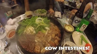 Trying Grilled Cow Intestines in Korea! / Korean Food / 곱창먹기