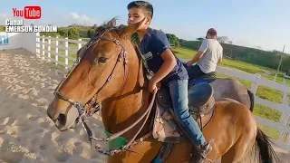 RESENHA NA PISTA DE VAQUEJADA - VAQUEIRO LEVY - A  BRUTINHA E A GALERA DO PARQUE GUARANI