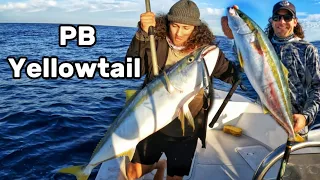 BIG Winter Yellowtail off CAPE POINT!!
