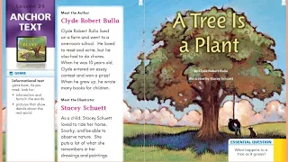 Journeys Lesson 24 for First Grade: A Tree is a Plant