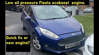 Ford Fiesta 1.0 Ecoboost part 1 death rattle, can it be saved?  or is a new engine required?