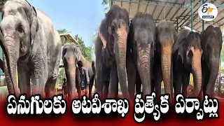 Summer Effect | Tamil Nadu Forest Department Special Arrangements For Elephants