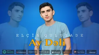 Elcin Quluzade - Ay Deli 2024 (Yeni Klip) 4K