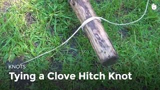 Clove Hitch Knot | Bushcraft