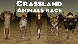 Grassland Animals Category Speed Race in Early Morning in Planet Zoo included Rhino, Cheetah & etc