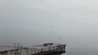 Момент збиття з ПЗРК російських вертольотів над Київським водосховищем
