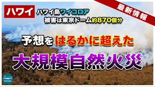 【ハワイ島大規模火災】ハワイ島ワイコロアで東京ドーム870個分が燃える山火事！まだ火が消えない理由とは？【ハワイの今】【ハワイ最新情報】【4K】