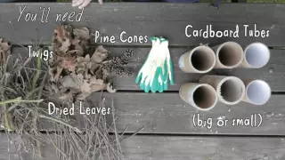 How to build a Bug Hotel - Wildlife Connections