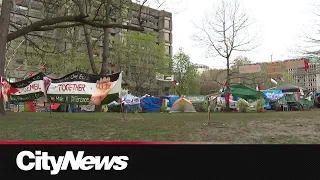 Pro-Palestinian encampment at Montreal's McGill expands on day 12