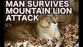 Man Kills Mountain Lion With Bare Hands | Living in Arizona