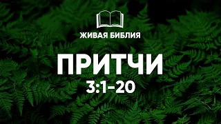 Живая Библия. Притчи 3:1-20 | Библия в видео формате