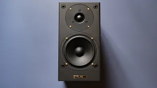 Review! The PMC DB1 GOLD |  A Studio Loudspeaker with Hi-Fi Charm.