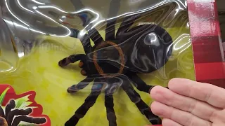 Giant Tarantula Spider RC - Creeps and Crawls - $21.99 at Big Lots