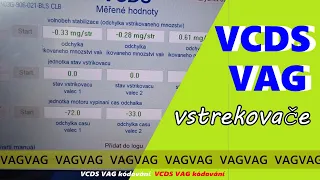 VCDS VAG vstřikovače kontrola stavu