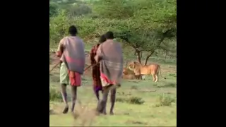 USHAWAHI ONA SIMBA AKITIMUA MBIO KUONA WAHADZABE