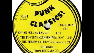 V/A Punk Classics EP VOL 1 (Garage Rock 60's)