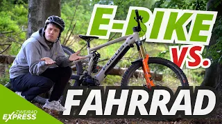 E-BIKE vs. HERKÖMMLICHES FAHRRAD - DAS PASST BESSER ZU DIR [Kaufberatung] 🔰 @ZweiradexpressTV