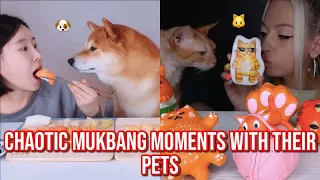 the most CHAOTIC mukbanger moments with their pets