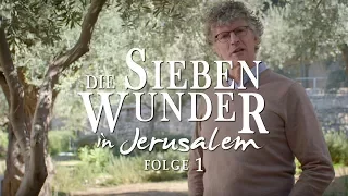 Das Wunder der Vergebung