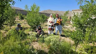 امروز مادر مهربان و مادر نوریه آشار بود 😍 ریشقه حویلی را درو کردیم