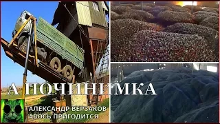 Началось в колхозе утро 3/68. Принимаем с поля урожай лука и подсолнечника.