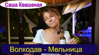 Волкодав - Мельница (cover Саша Квашеная ) #квашеная