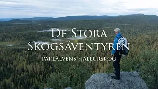 På tur genom Pärlälvens urskog