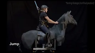 Horse simulator