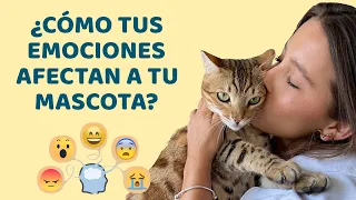 ¿CÓMO INFLUYEN MIS EMOCIONES EN EL CARÁCTER DE MIS ANIMALES? - Lauvet