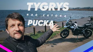 Tygrys nad zatoką Pucką. Nowy Triumph Tiger 900 GT pro. Pierwsze wrażenia.