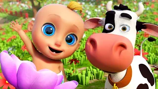 La Vaca Lola  - Canciones Infantiles para niños