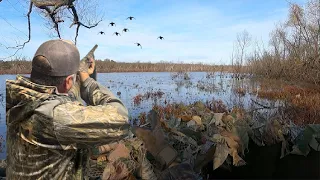 Mallard Hunting: A Battle of Wits and Patience