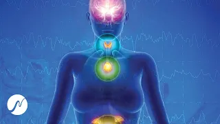 Endocrine System Rejuvenation (Pineal Gland, Thyroid, Adrenal Glands - 537 Hz)