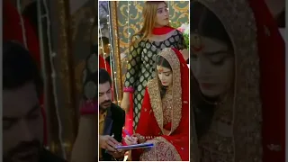 Zainab sabbir Usama Khan Nikah status 💕 | Teri rah main Ost | #wedding #nikah #lovestatus #shorts