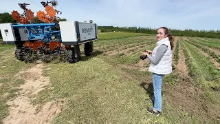 I'm Driving the Farm Robot!  Look Out!  Denmark EU 2023