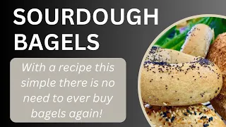 EASY Sourdough Bagels - no bread flour needed. Inexpensive and delicious!