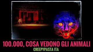 [CREEPYPASTA ITA] 100.000, Cosa vedono gli animali