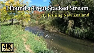 I found a Trout Stacked Stream - Fly Fishing