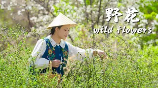 Seasonal Flower Recipes——The Yunnan people’s romantic lifestyle is to eat the blooming wildflowers