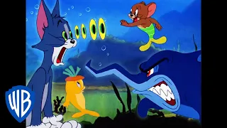 Tom et Jerry en Français | Créatures aquatiques 🐠🐳 | WB Kids