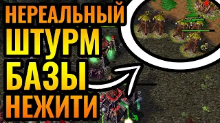 ДАВНО НЕ БЫЛО ЖУКА: Ярость Орды против неприступной базы Нежити в Warcraft 3 Reforged