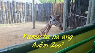 UP-CLOSE ENCOUNTERS: UNFORGETTABLE MOMENTS AT AVILON ZOO | WITH TITA NINENG AND BEBE CHUCHAY