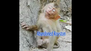 Poor Abandoned Baby Royston Looking So Tired Sitting Fall A Sleep So Lonely