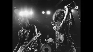 Ramones Havana Affair live 1977