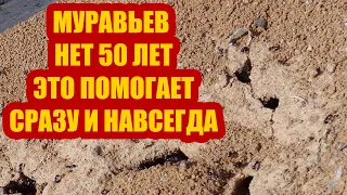 МУРАВЬИ 50 ЛЕТ НЕ ВОЗВРАЩАЮТСЯ! ЗА 1 РАЗ ИЗБАВИЛАСЬ ОТ МУРАВЬЕВ НАВСЕГДА, 100% РАБОТАЕТ